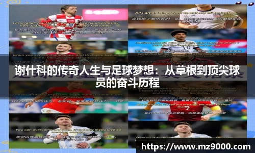 williamhill威廉希尔